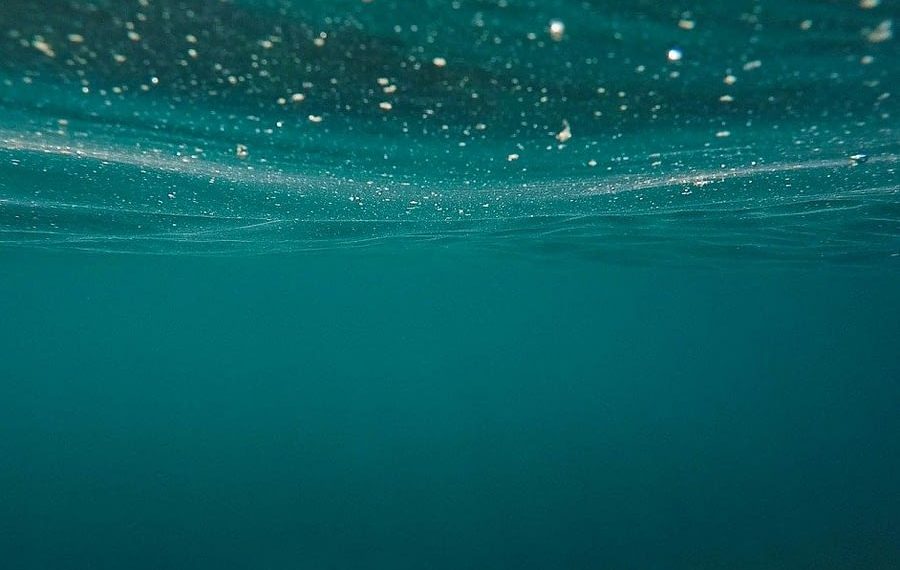 Engineers Design Robots to Fight Invasive Fish