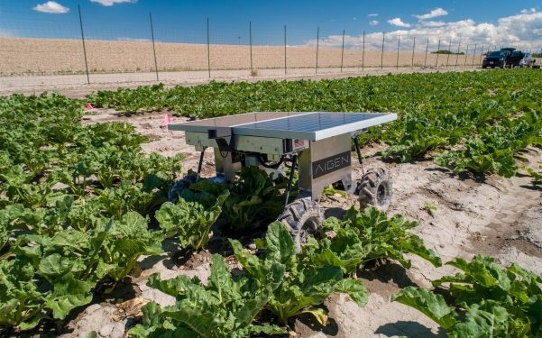 Aigen’s swarm of agtech robots want to make agriculture carbon positive – TechCrunch