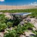 Aigen’s swarm of agtech robots want to make agriculture carbon positive – TechCrunch