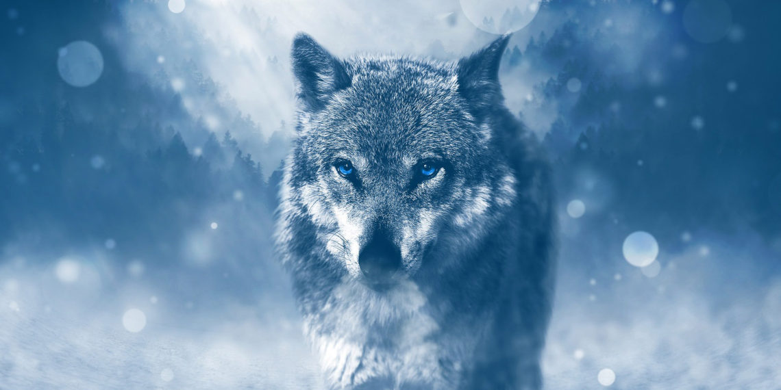 Small businesses are most vulnerable to growing cybersecurity threats