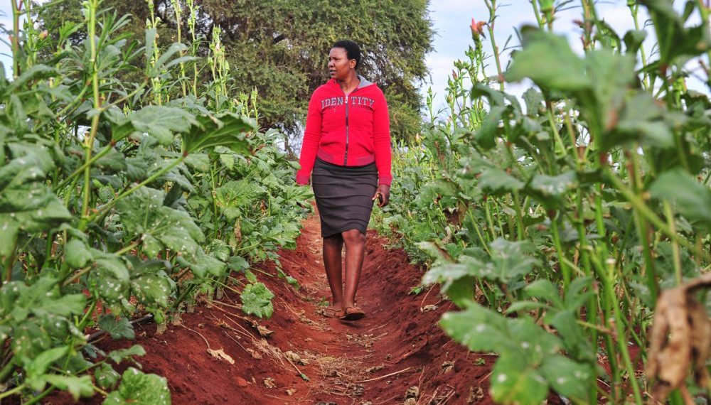 Startup Cholsas Aims to Connect Farmers, Markets