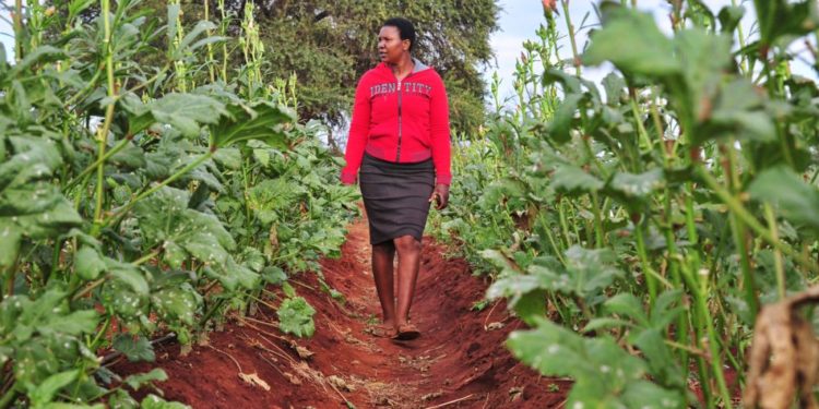 Startup Cholsas Aims to Connect Farmers, Markets