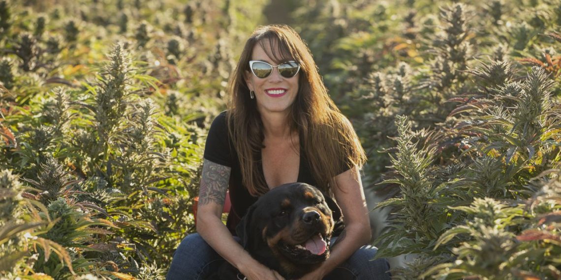 Cannabis startup Wellfounded is pursuing a seed round of capital