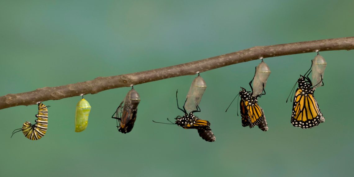 6 Simple Principles To Embrace When Building A New Fund