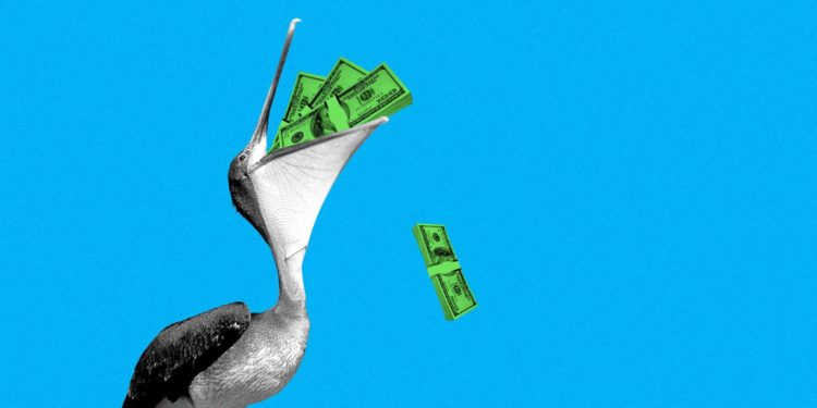 Exclusive: Florida Funders raises $60 million for new VC fund