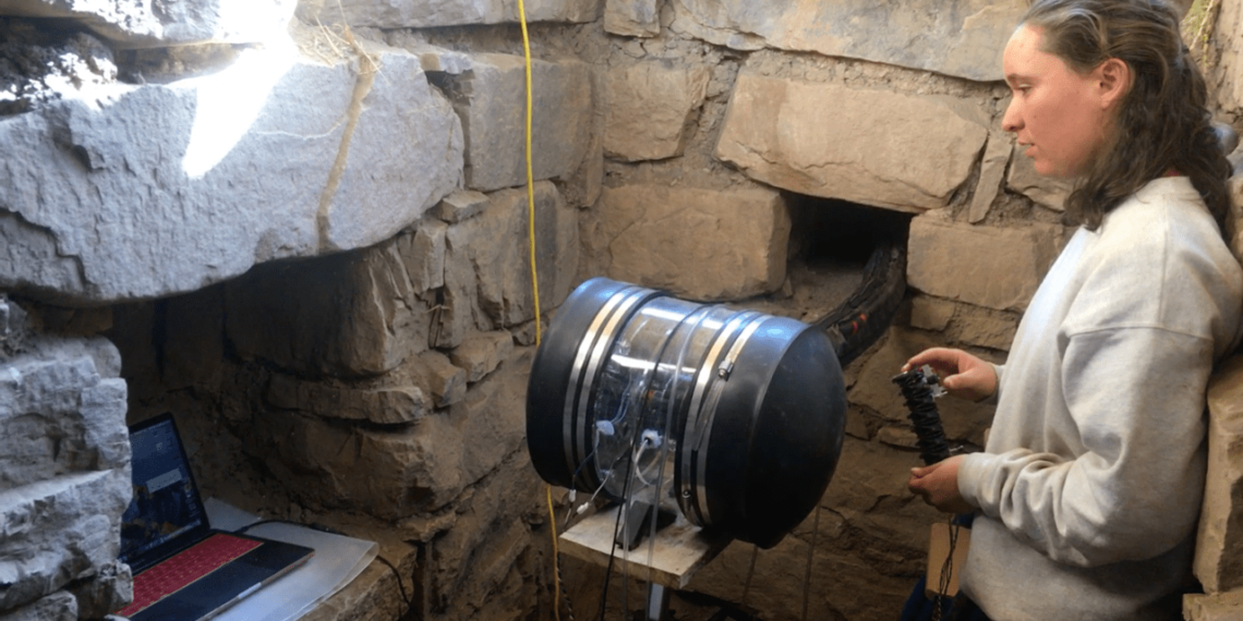 Notre Dame professor develops plant-inspired robots // The Observer