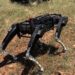 The US is testing robot patrol dogs on its borders