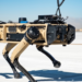 U.S. tests “robot dogs” to patrol southern border
