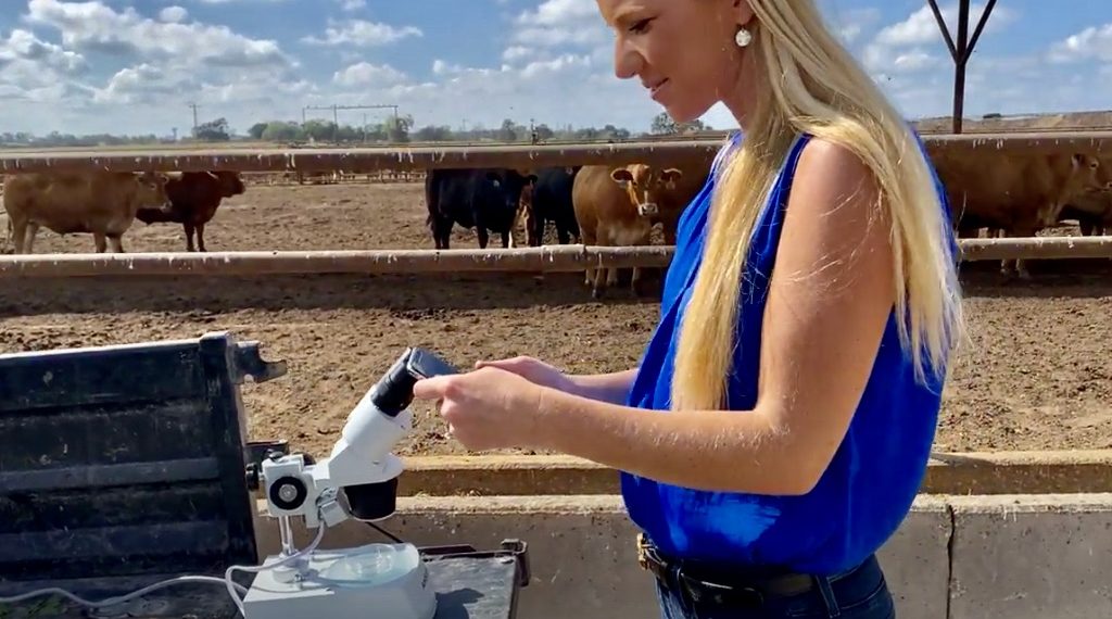 Recent Texas Tech graduate receives $250,000 for startup research | KLBK | KAMC