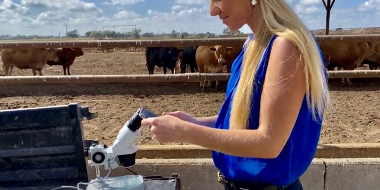 Recent Texas Tech graduate receives $250,000 for startup research | KLBK | KAMC