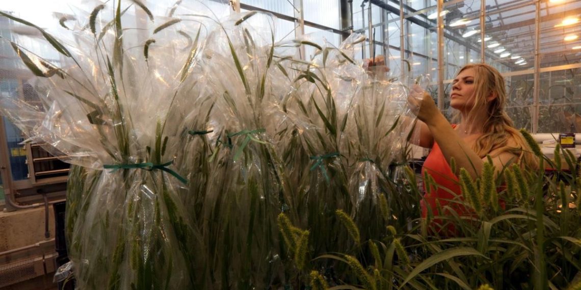 Key funder of early-stage Missouri companies points to fewer startups after state budget cuts | Local Business