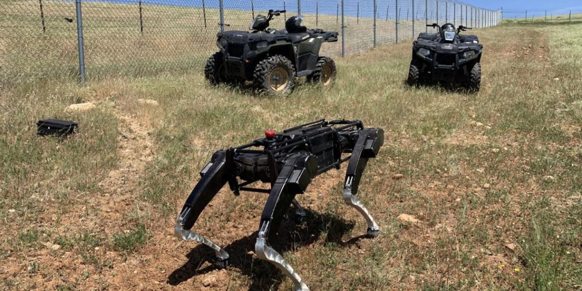 Robot dogs could patrol the US-Mexico border | AP CNN