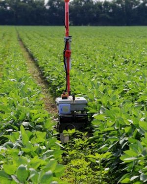 MKC, Greenfield Robotics partner to use technology for weeding
