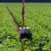 MKC, Greenfield Robotics partner to use technology for weeding