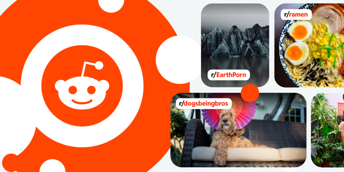 Reddit’s new Discover tab is the social media future of the platform