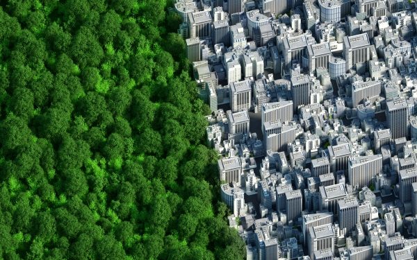 Envisioning Partners closes on $64M fund for climate tech startups – TechCrunch