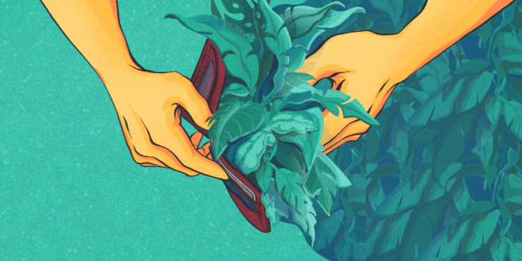 Why VC Investors Are Plowing Record Sums Into Agtech – Crunchbase News