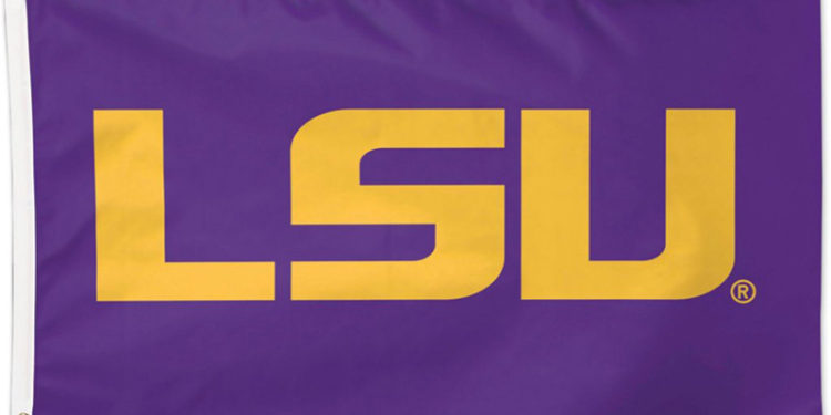 LSU Professor Designs Underwater Robot to Study Shipwrecks – L’Observateur