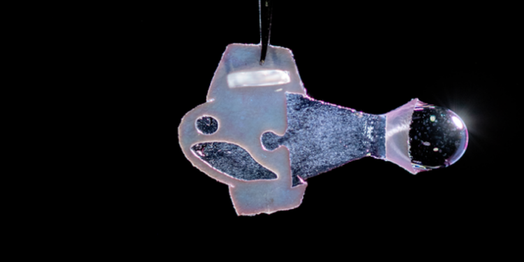 The beating heart of a swimming robot