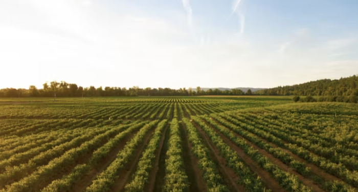 Lincoln agtech startup Sentinel Fertigation partners with crop irrigation systems manufacturer