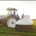 Verdant aims to be the (robotic) king of carrot weeders – TechCrunch