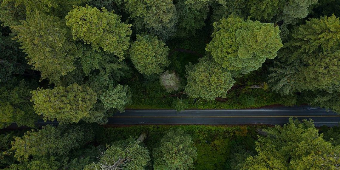 Sequoia is serious about crypto—for good this time