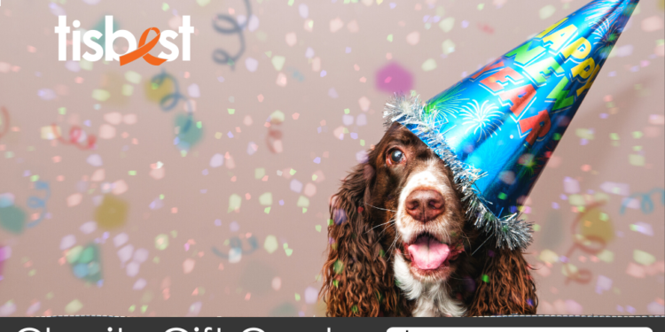 How an early snafu nearly sank a nonprofit startup that went on to enable $51M in charitable gifts