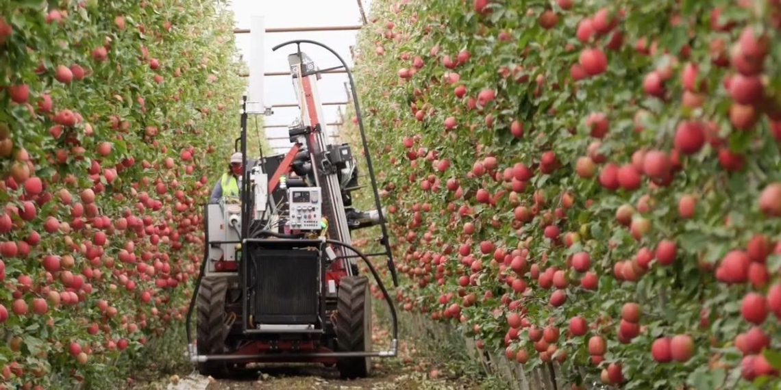 Will Robots Save Agriculture—Or Ruin Farm Workers?