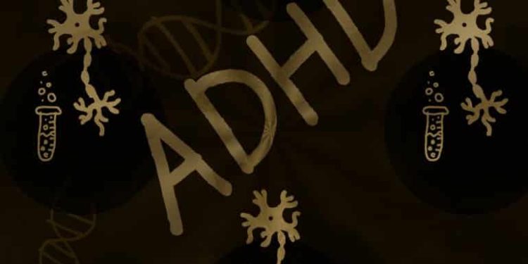 MRI Scans Show Few Brain Differences in Children With ADHD