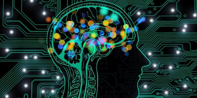 A Yet Unknown Neural Mechanism of Habit Formation Identified