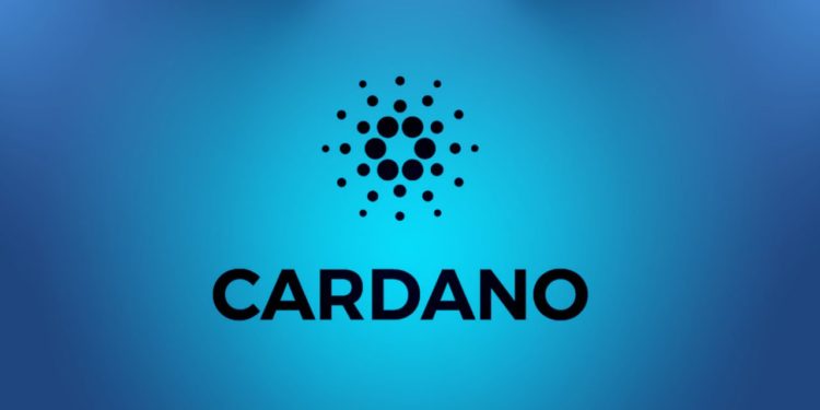 Bitgert Will Overtake Cardano In Next 365 Days With Its Startup Studio Program