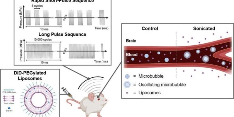 Non-invasive Method to Deliver Drugs to the Brain