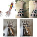 Researchers create new learning model for prosthetic limbs