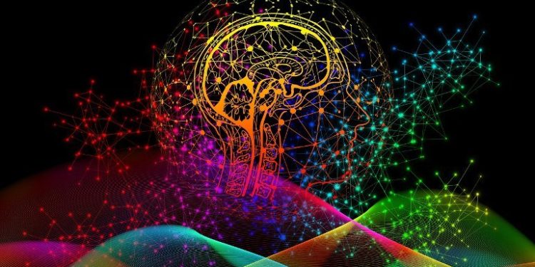 Fecal Implants Drive Behavioral and Cognitive Changes in Alzheimer’s Model