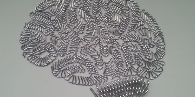 Newly Discovered Effect of Hyperthyroidism on Brain