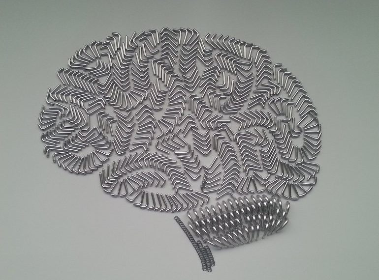 Newly Discovered Effect of Hyperthyroidism on Brain