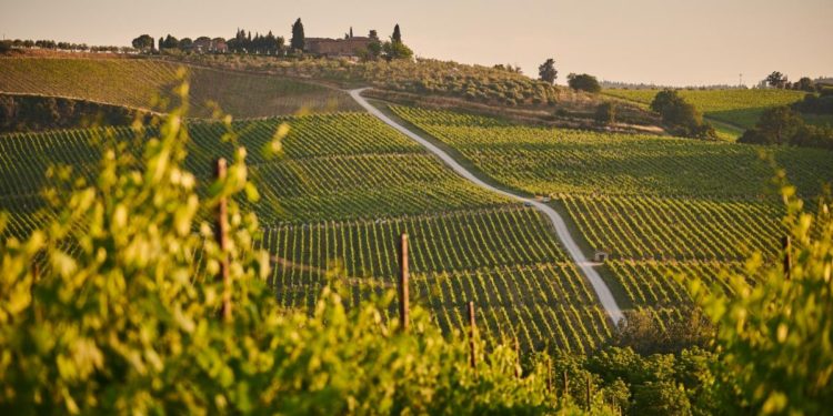 Bringing Blockchain To The Vinyard – This Startup Is Allowing Individuals To Buy Their Own Vine