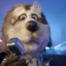 Meta’s Quest 2 Super Bowl ad takes a retired animatronic dog into the metaverse