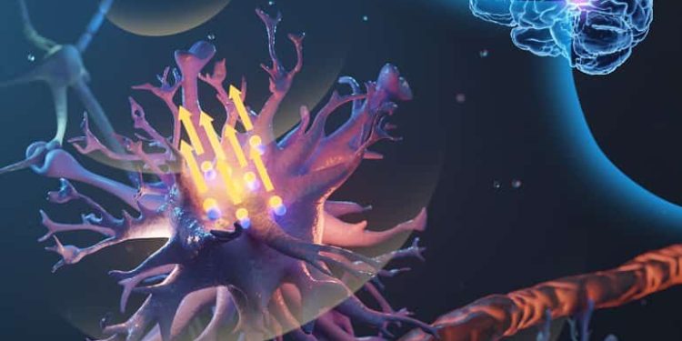 Touch Sensitive Brain Cells Controlled by Micromagnets