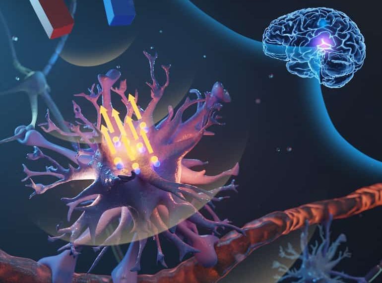 Touch Sensitive Brain Cells Controlled by Micromagnets