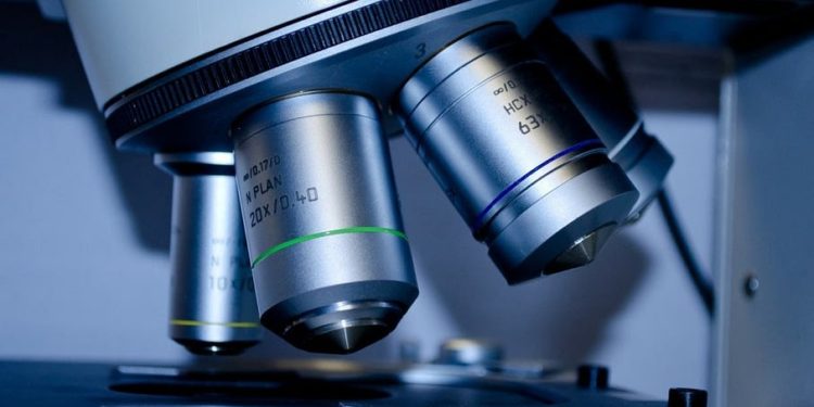 Computer Vision System Automatically Analyzes Cells