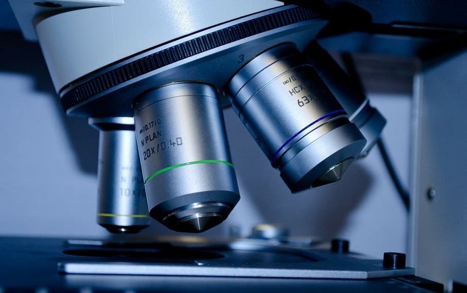 Computer Vision System Automatically Analyzes Cells