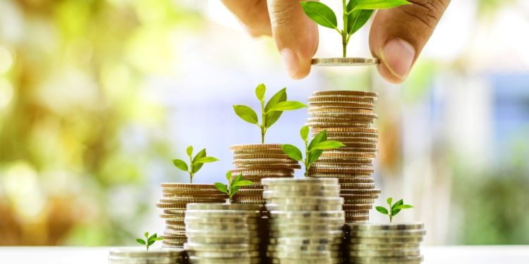 An early stage VC investor explains everything you need to know about pre-seed and seed rounds