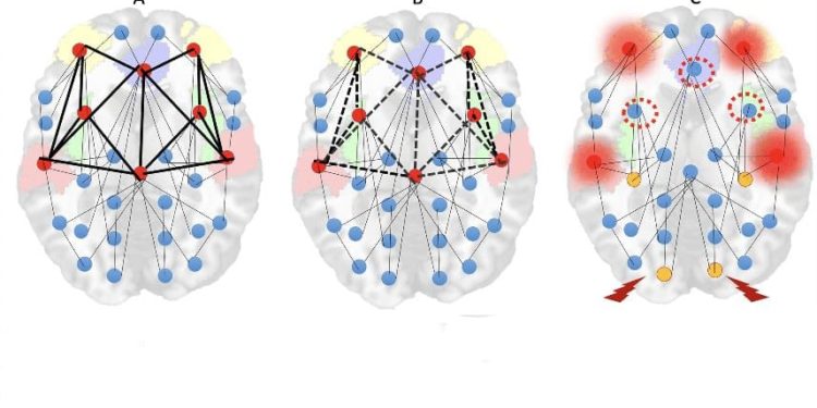 New Insight Into Brain’s Attempts at Psychosis Recovery
