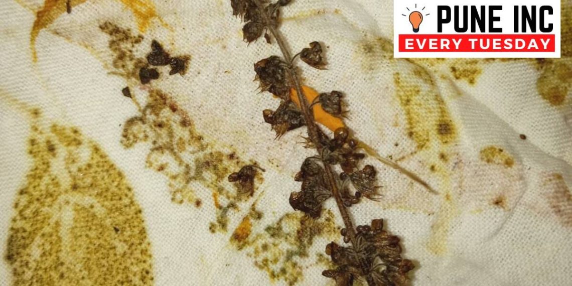 Pune Inc: With leaves as raw material, startup turning sustainable fashion into business idea