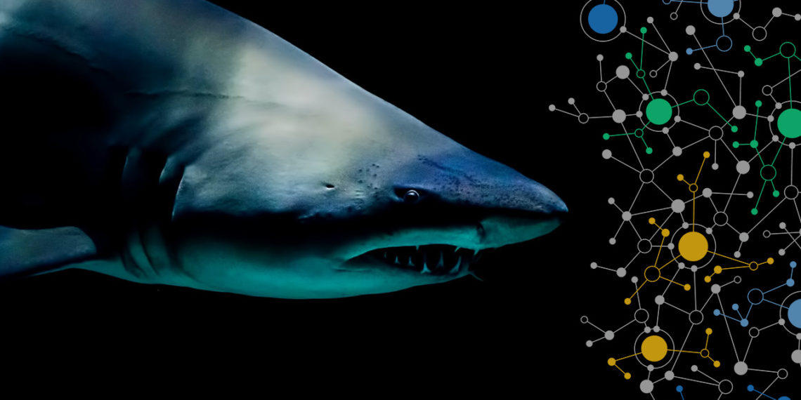 Top attack trends every organization should build resilience against