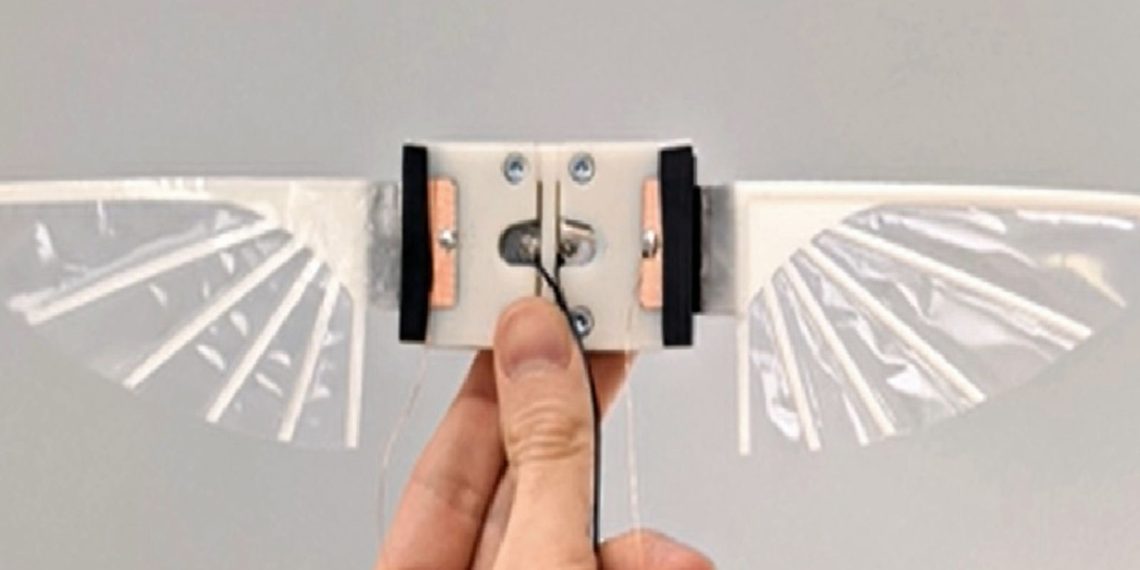 Scientists develop insect-sized robots that flap their wings to fly | UK News