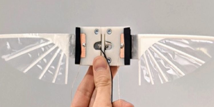 Scientists develop insect-sized robots that flap their wings to fly | UK News
