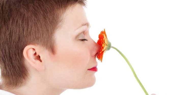 Gene Allowing Humans to Feel Touch May Play a Role in Sense of Smell