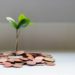 How PE and VC attitudes towards green finance are changing